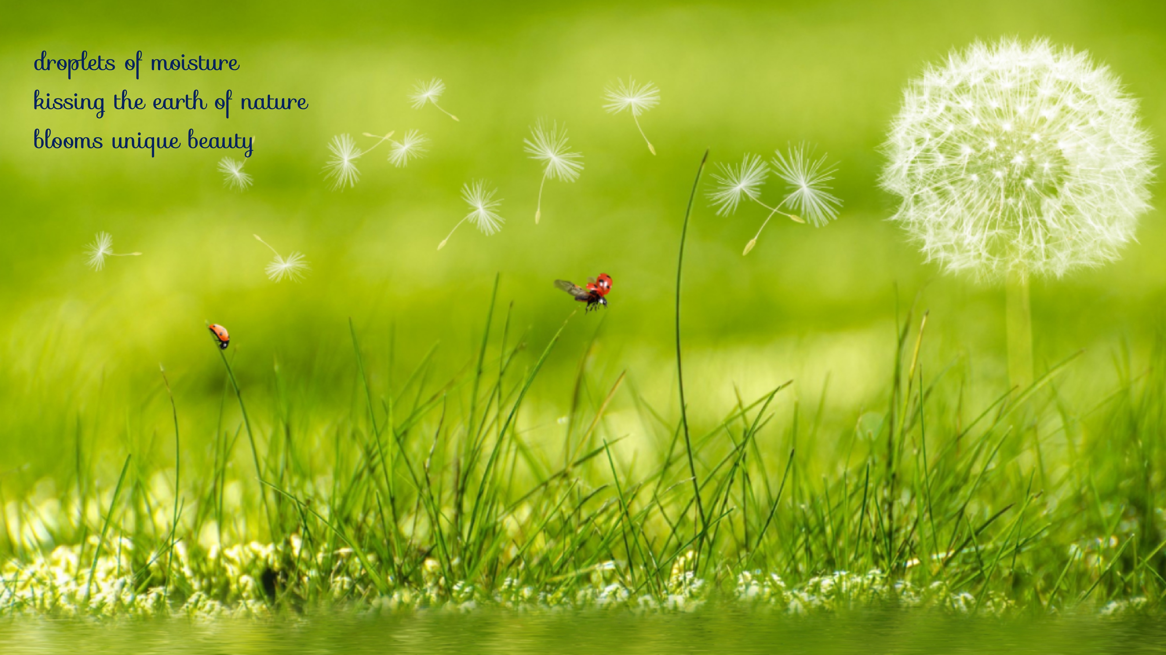 MIdsummer Beauty_Fotor