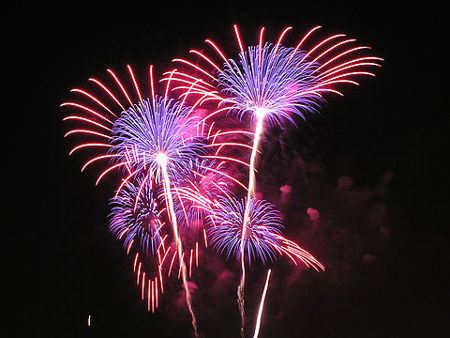 brave declaration.jpg