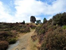 consider-perspective