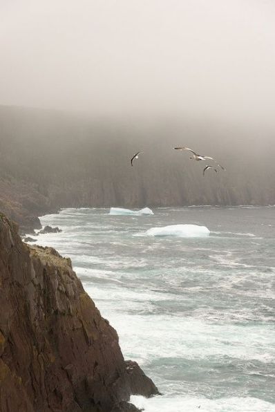 d45afeb082d8d486511dfab03a3daeb1