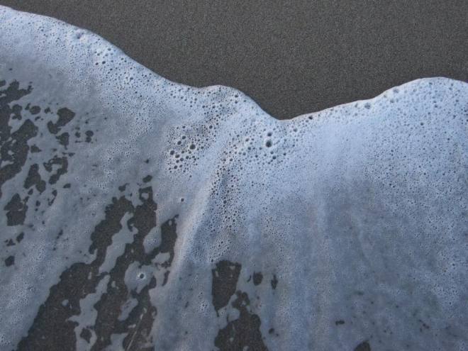 11158116_10152909153238843_892789476_n