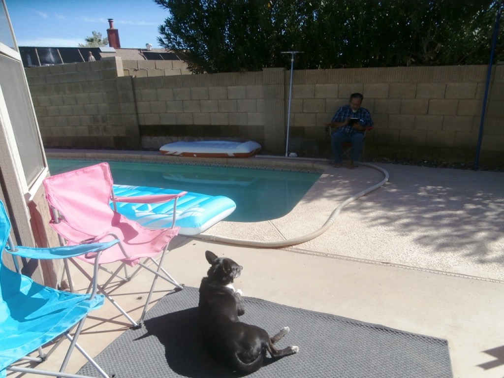 Bookworm’s vacation