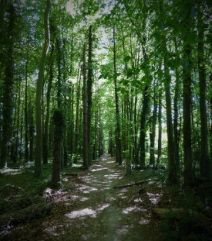 passage1