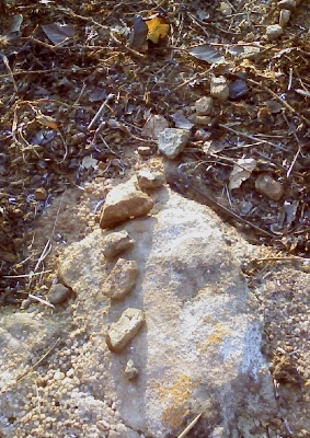 Photo0014 (283x400).jpg