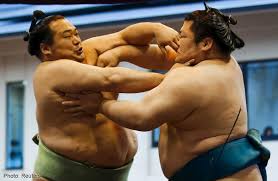 sumo