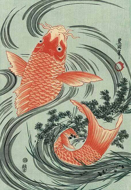 21433166_745043032353916_2768731873287761906_n