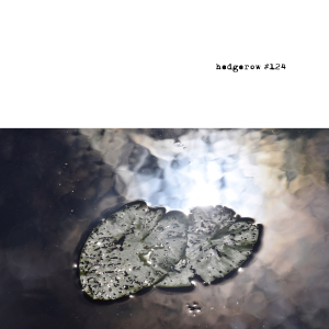 Lifedeathetc featured in Hedgerow