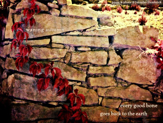 Jennifer Hambrick - waning autumn WITH SIGNATURE