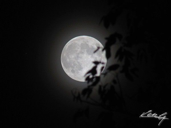 tonight's moon rises_9-29-12.jpg