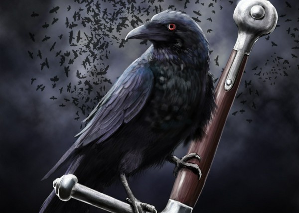 Haiku: Raven