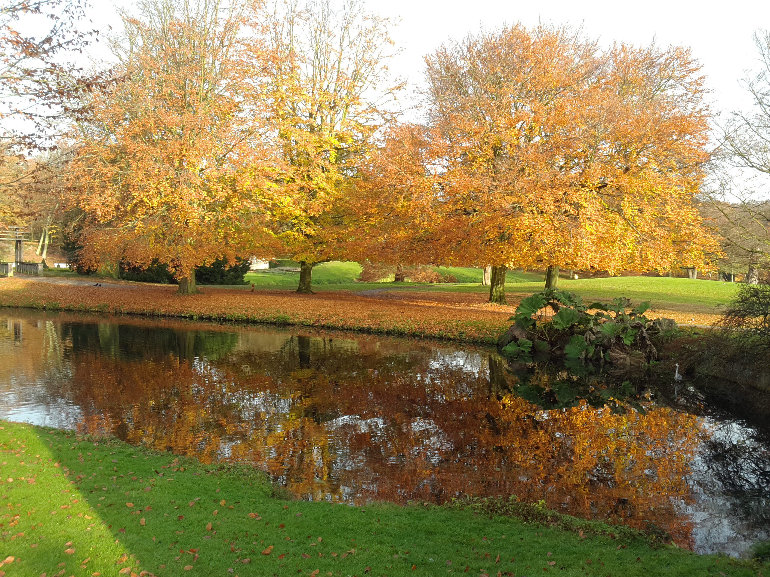 autunno in clingendael