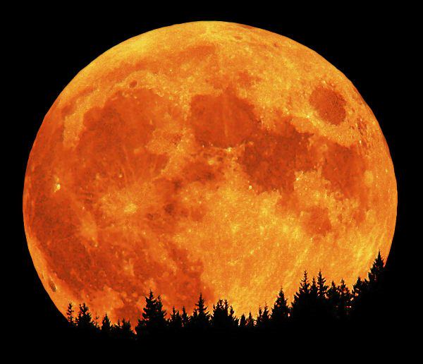 Haiku: Hunter’s Moon