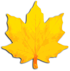 maple_leaf_fall_yellow