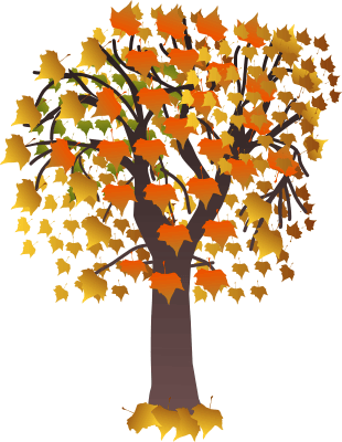 maple_tree_autumn