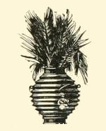 plants-05