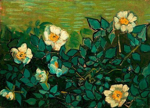 010d1e02aff0509ad57a5e217c57e9ea