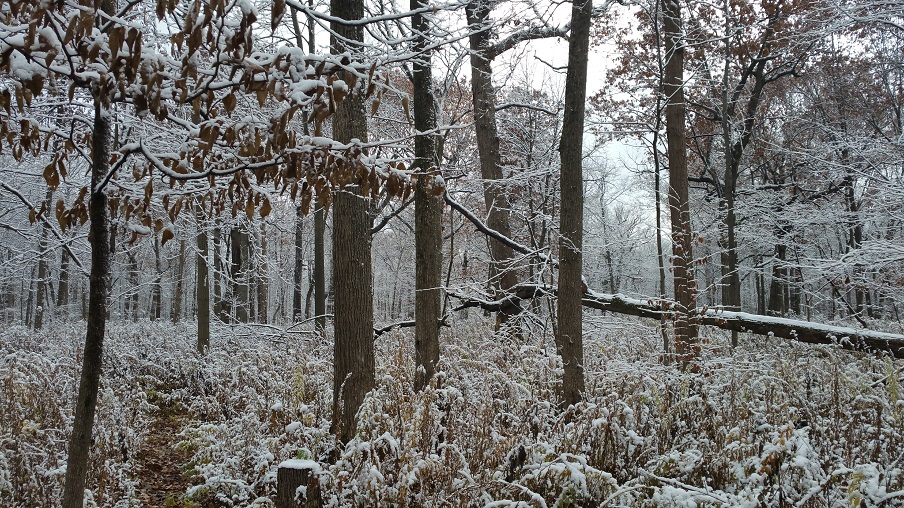 First Snow
