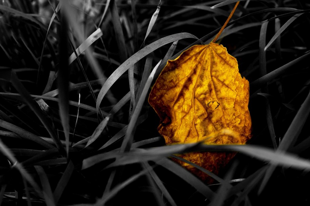 “A Norse Halloween,” A&nbsp;#Tanka