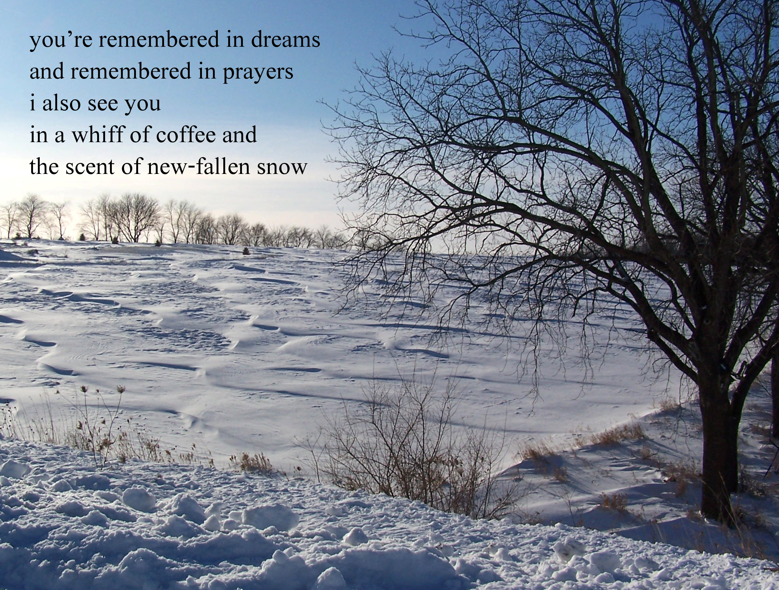 Snowscape_haiga