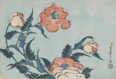 walking narrow path.jpg