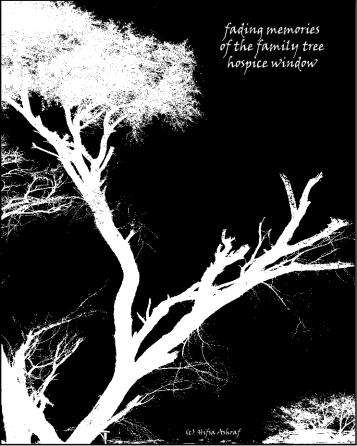 fading memories- Hifsa Ashraf.png