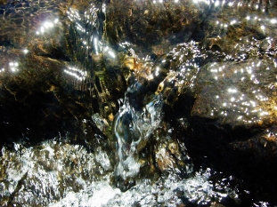 img_6628 (3) (311x233)