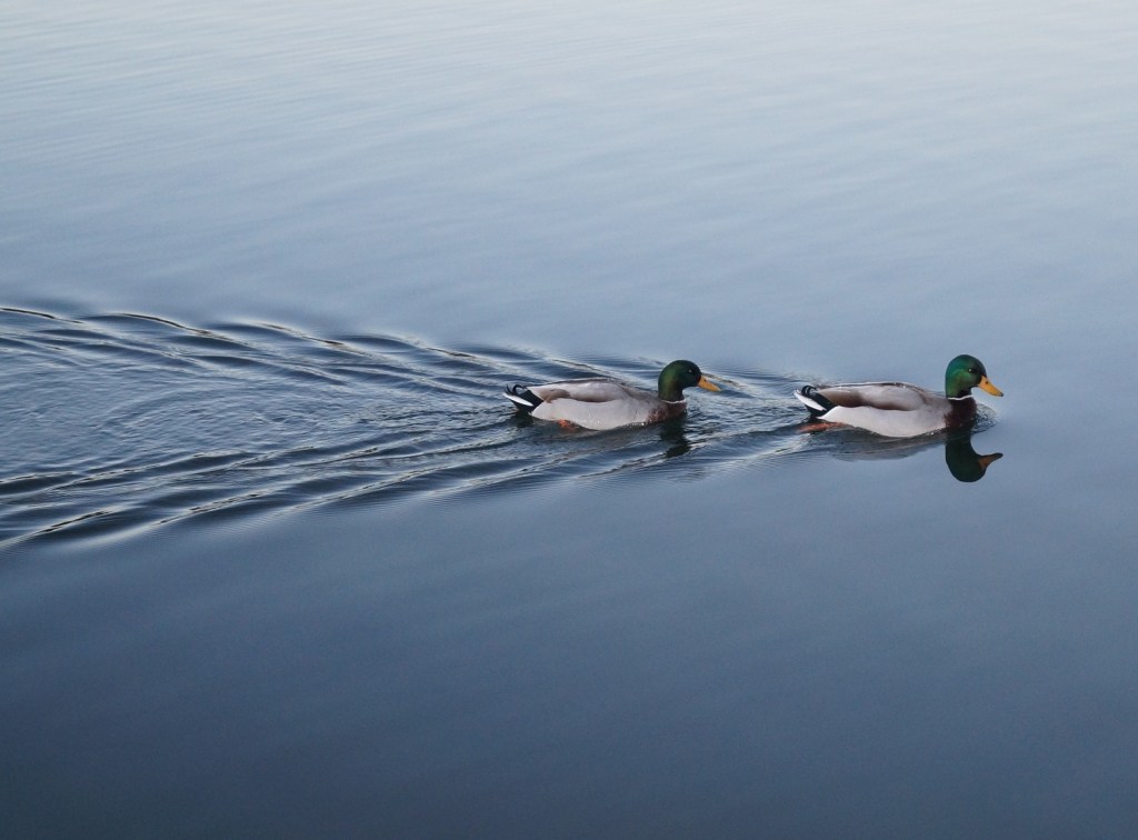 January Walk By The River