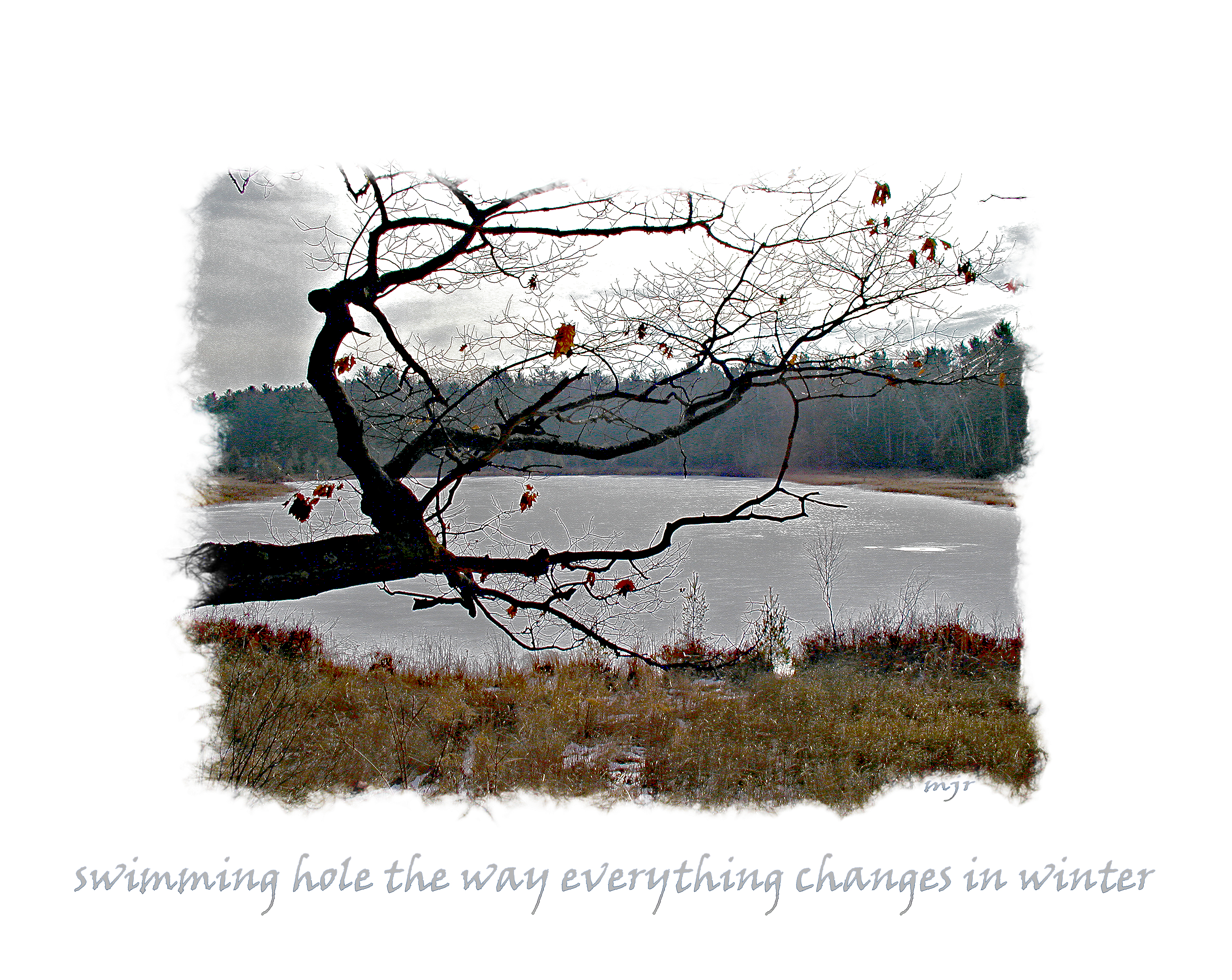 swimmingholehaiga