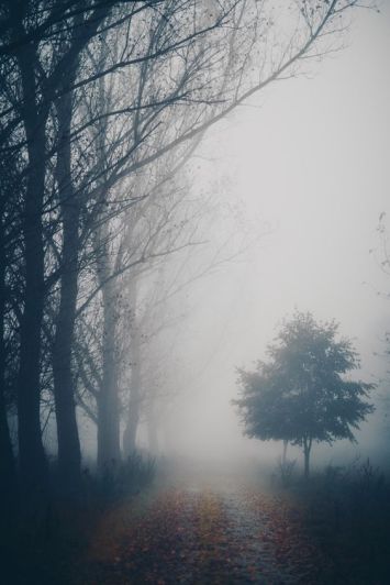 20a0c33e90078528b05516543d43b56c