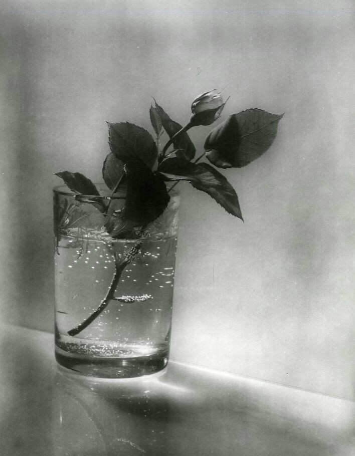 4c7e24b219f53b87844a7a96de498a82