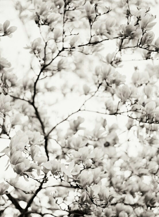 304e7da12e31c68c54f43ed515837875