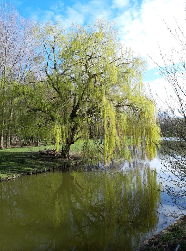 54526074_1058641587660724_3386197871668756480_n