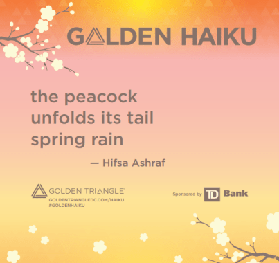 Golden Triangle contest.png