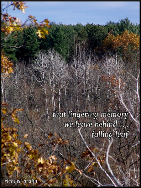 Grahn_FallingLeaf