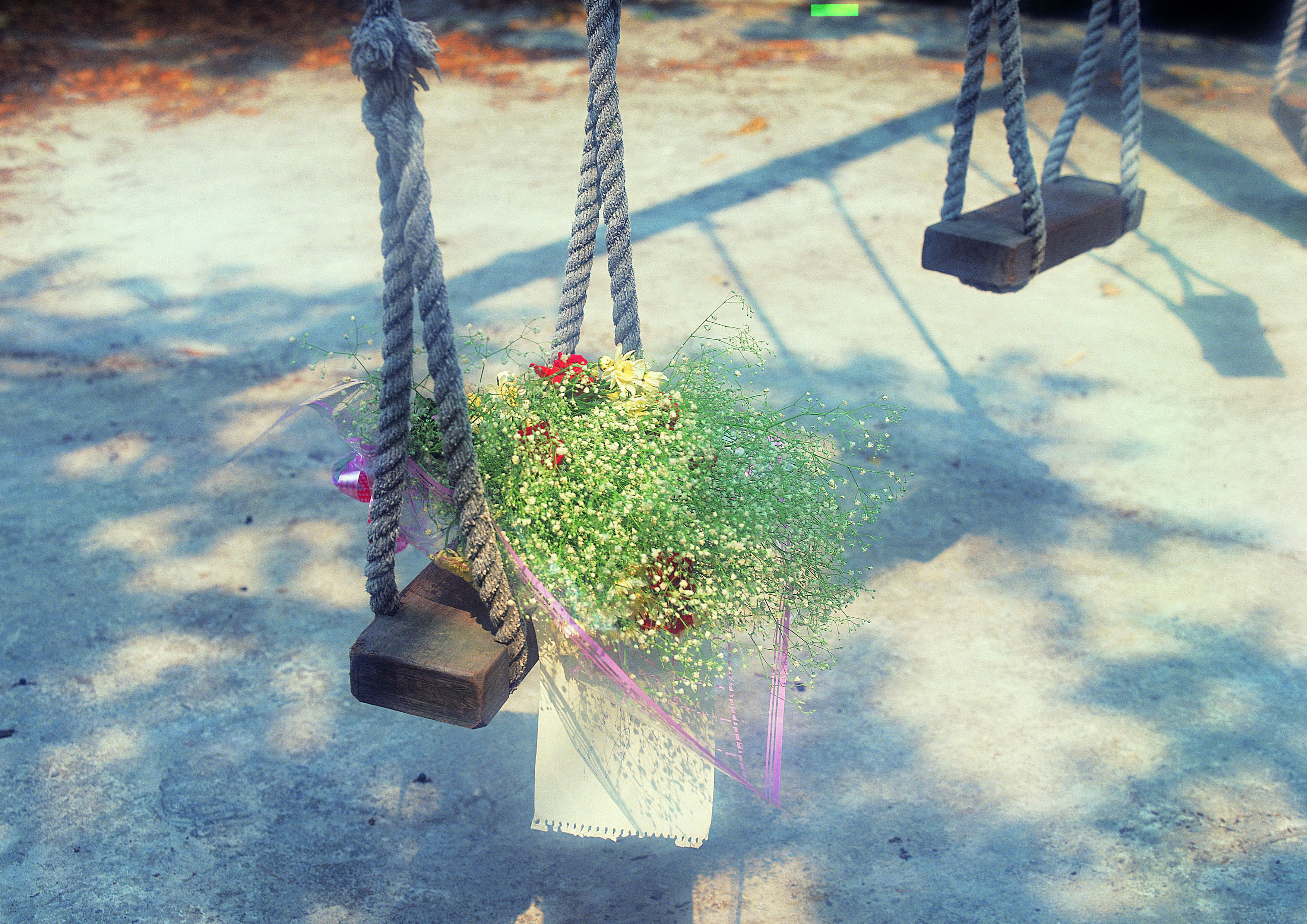 stockvault-flower-on-swing-set117293