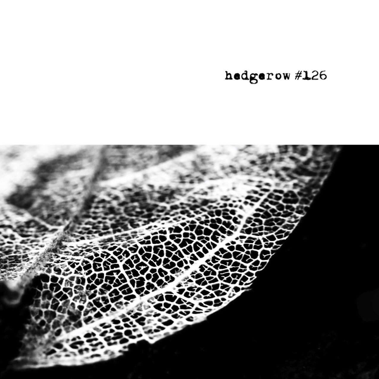 hedgerow #126 COVER front.jpg