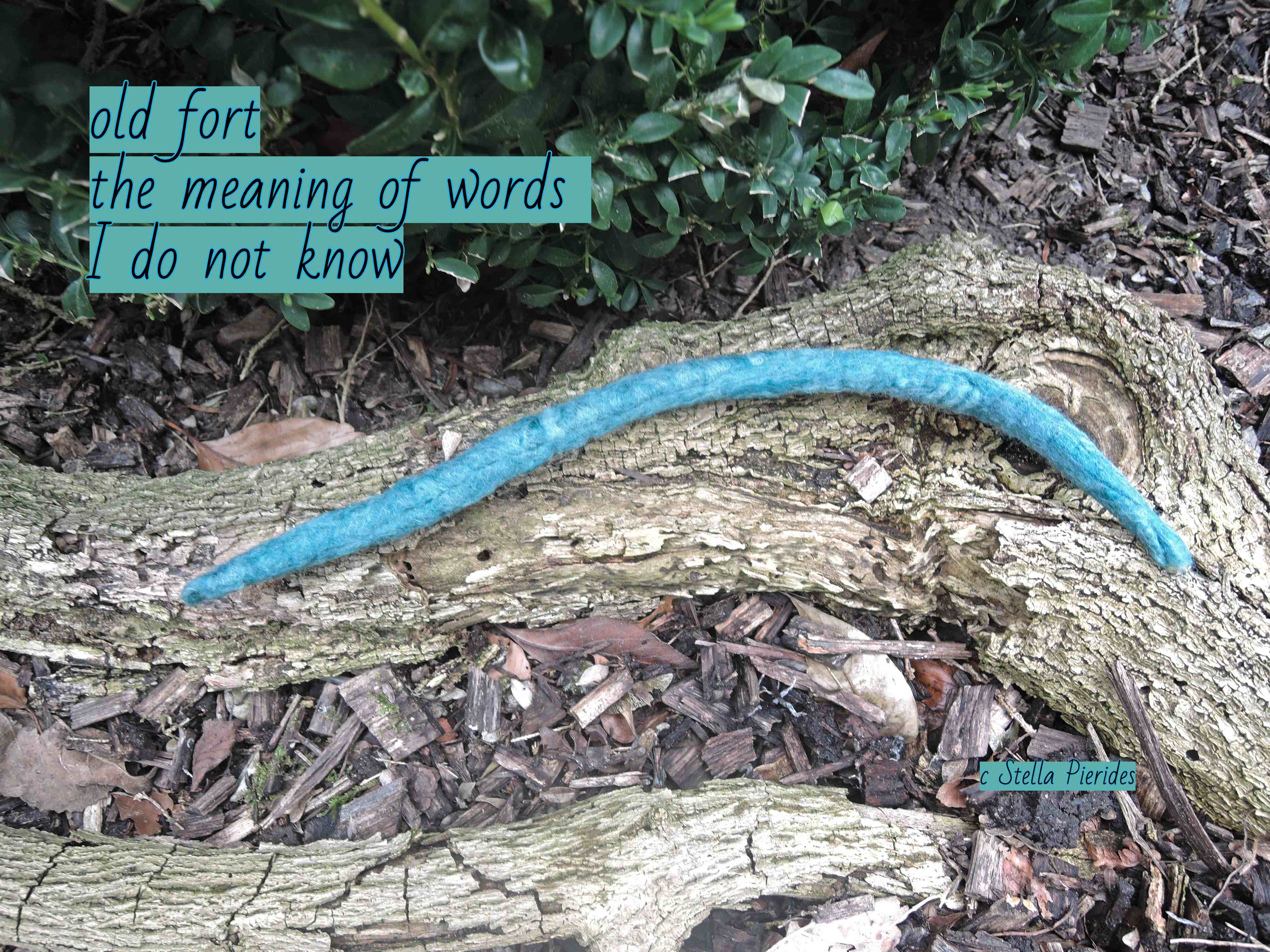 haiga,snake,