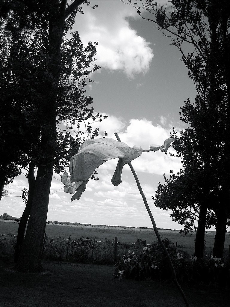 261982081_65327c46ce_b