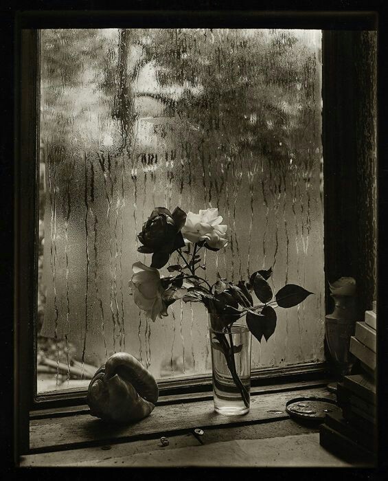 0a80c23b2f4c6eaec155d700a6e85bb6