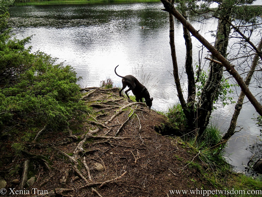 Haiku: Bless the Water