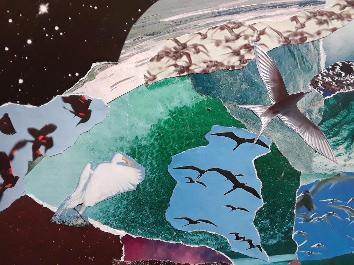 milky way close up s