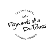 Figments photography duTch haiku