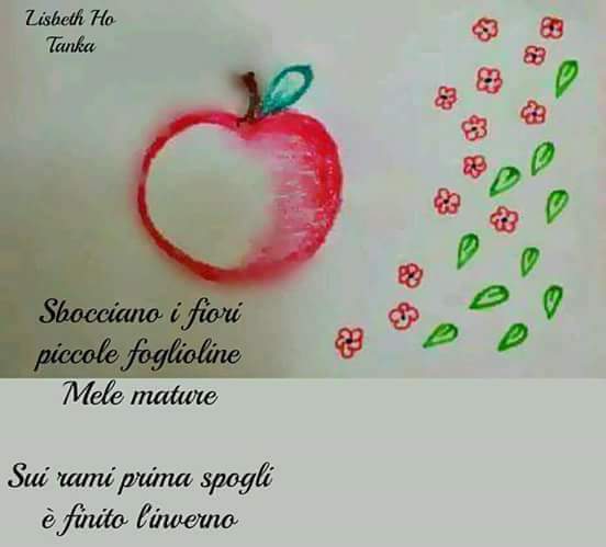 thumbnail_FB_IMG_1569074622804.jpg