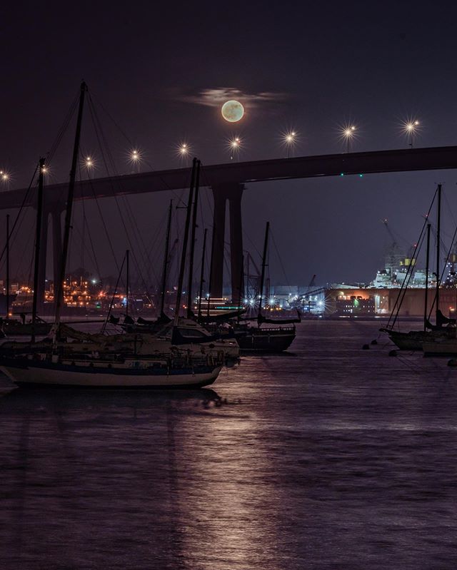 Beaver Moon
