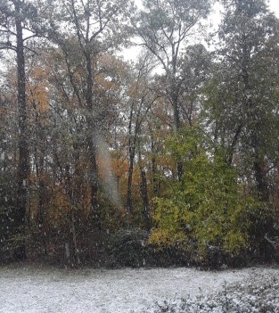 first snow2