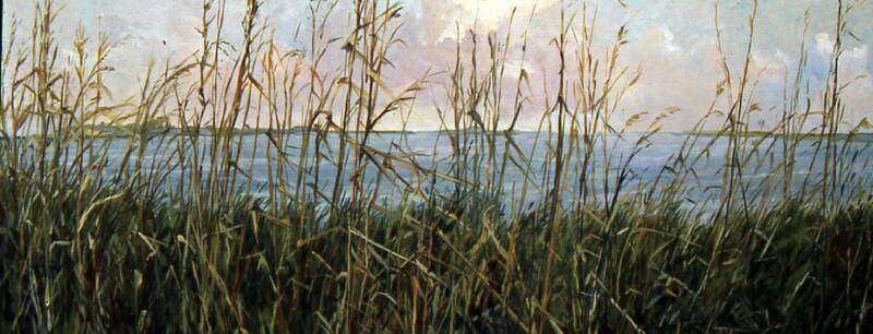 MarshGrass_copy_op_800x306