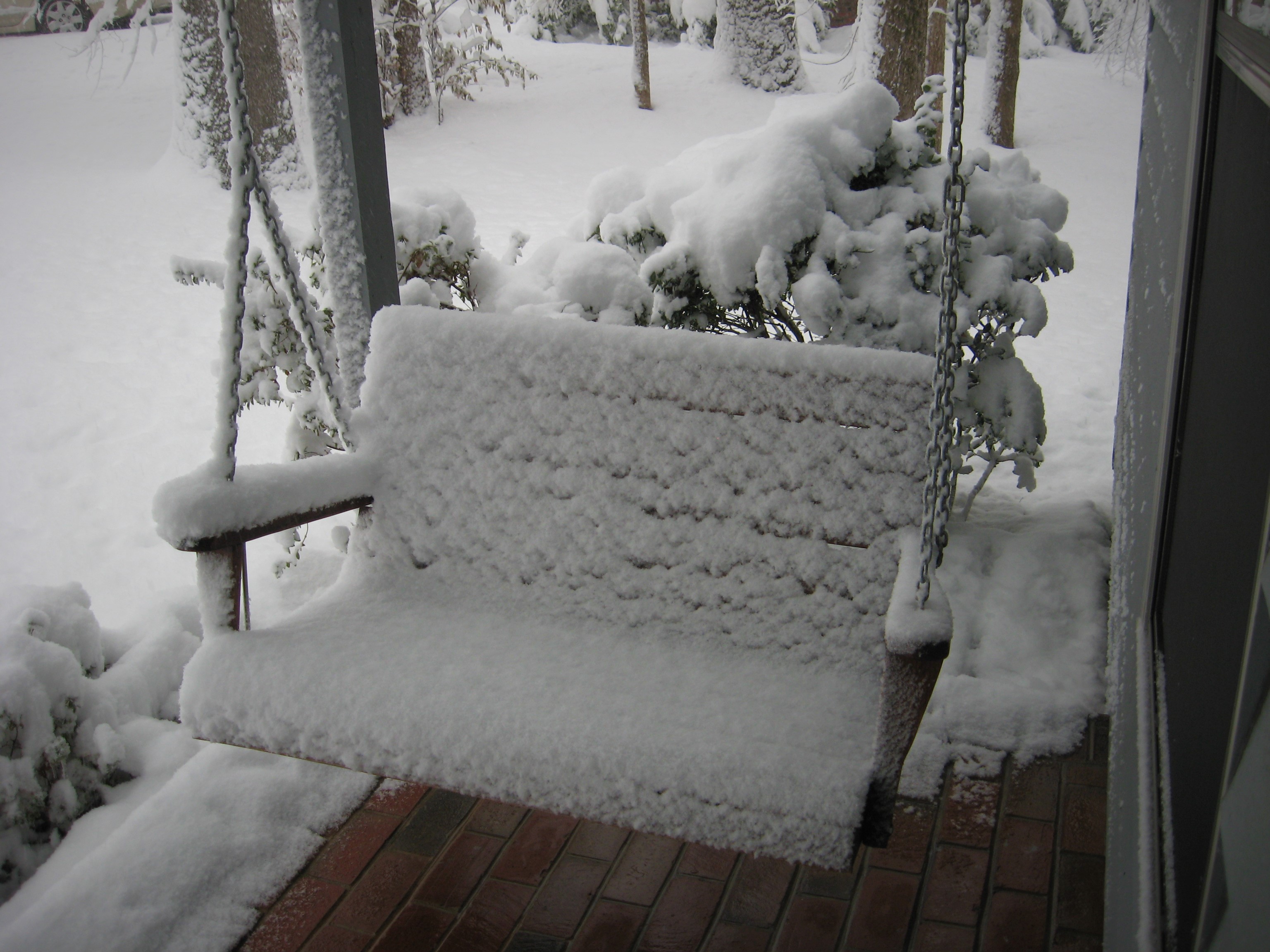 winter 2020 017 (2)