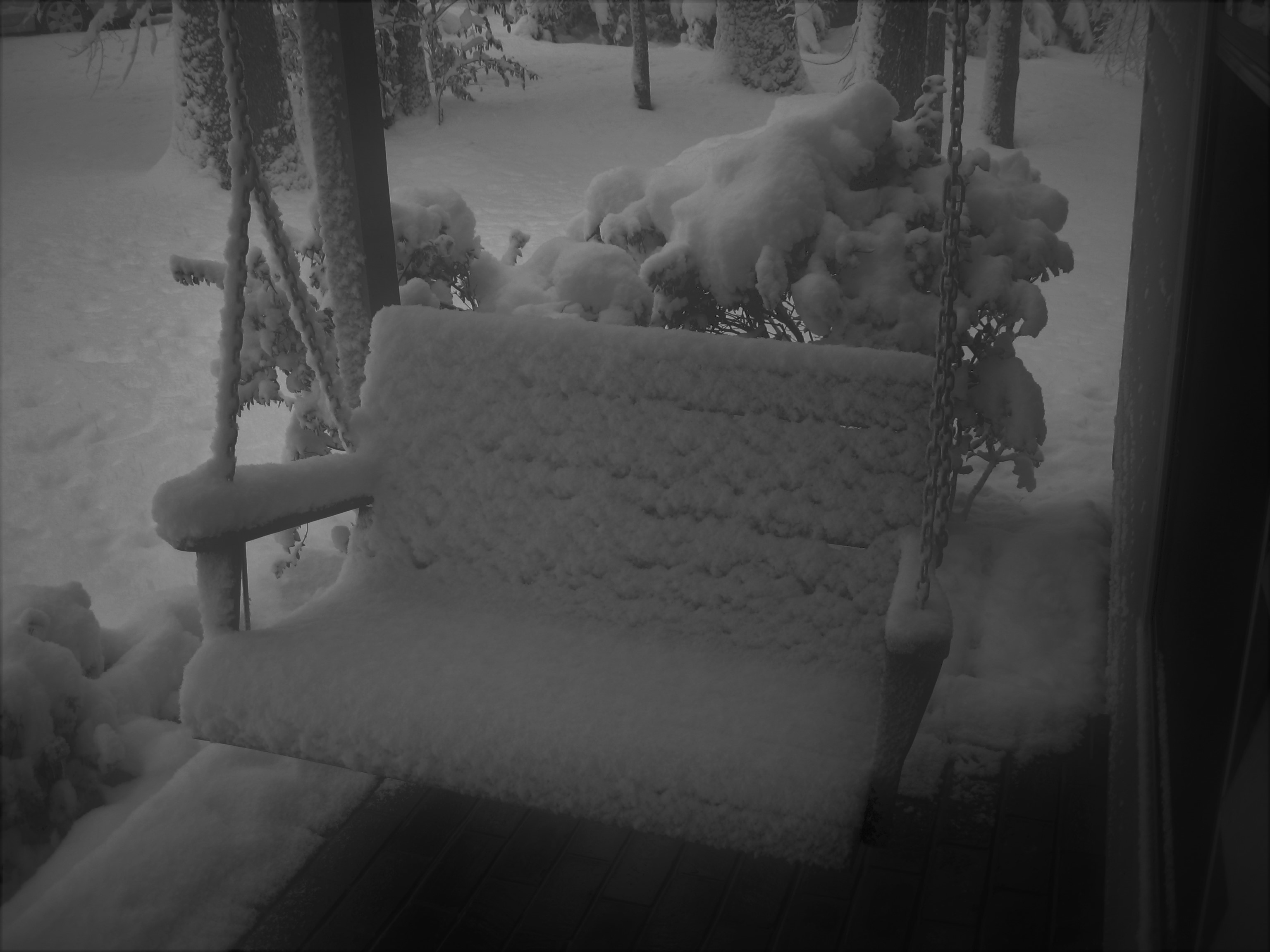 winter 2020 017 (3)