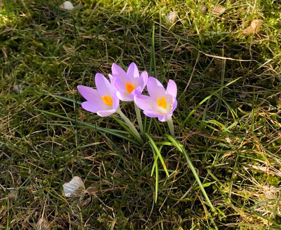 89357311_10219390901915747_7921042368210403328_n