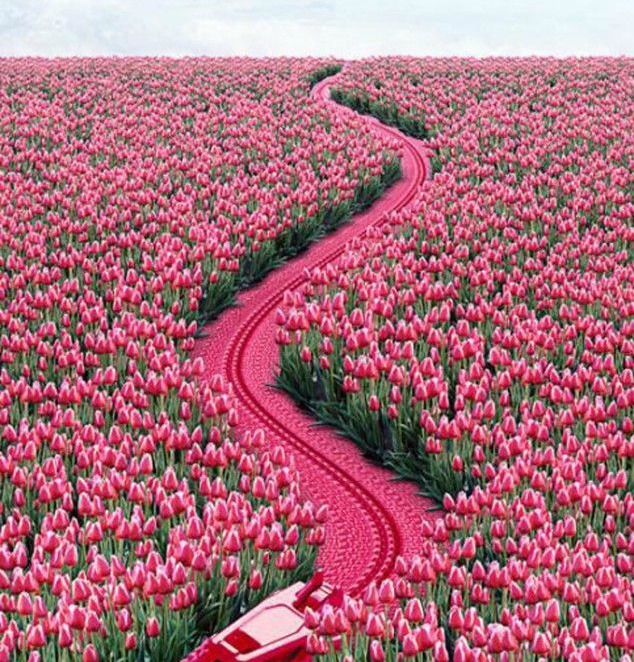 The long way&nbsp;home